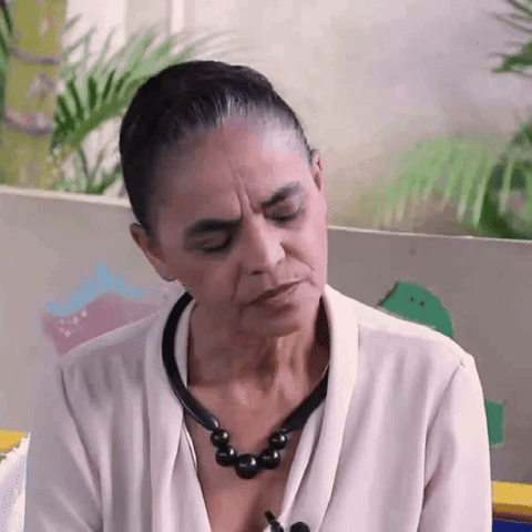 #Marina Silva GIF