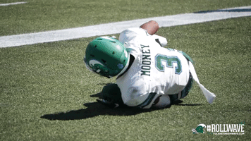 football touchdown GIF by GreenWave