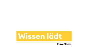 Euro-FH Sticker