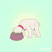 200.gif?cid=fc005b0873c969e5ba0b0ff72b394bed54f5f250617328b7&rid=200.gif&ct=g