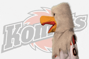 hockey mascot GIF by Fort Wayne Komets
