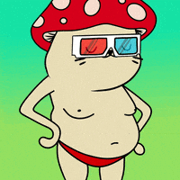 Happy Fun GIF by Sappy Seals Community