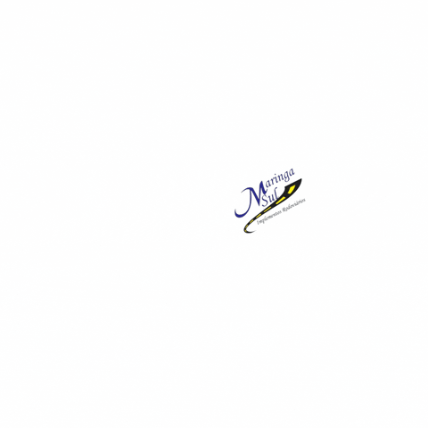 AJ2 SOLUÇÕES DIGITAIS GIF