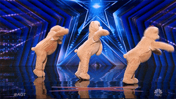 Simon Cowell GIF by America's Got Talent