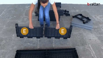 Bica Florida GIF