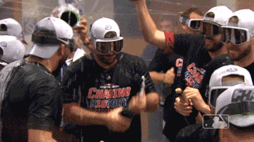 champagne spray GIF by MLB