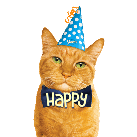 Celebrate Happy Birthday Sticker by Morris the 9Lives Cat