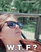 What The Wtf GIF by Djemilah Birnie