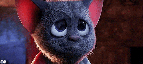 giphy.gif?cid=ecf05e47rmqsb4pgst7sjko2xi