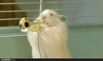 DESCRIÇÃO DA IMAGEM: grupo de ratinhos tocando instrumentos de sopro