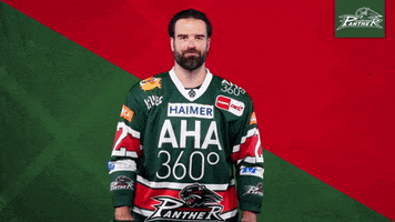 Del Lamb GIF by Augsburger Panther Eishockey GmbH