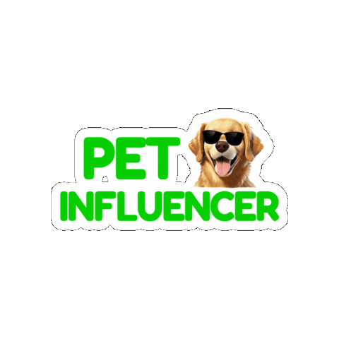 OSSEL PET Sticker