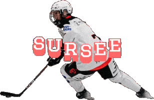 Sursee Womenshockey Sticker by Stalder's Sportsbar