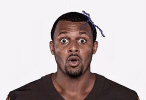 Pittsburgh Steelers Nfl GIF
