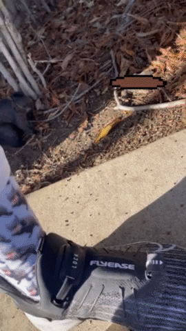 Hi GIF