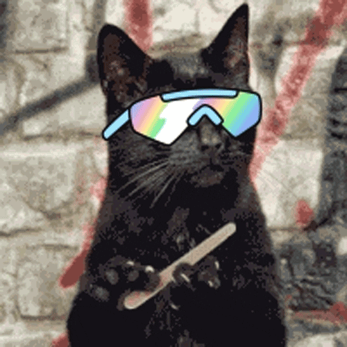 Cool Cat Whatever GIF by doodles