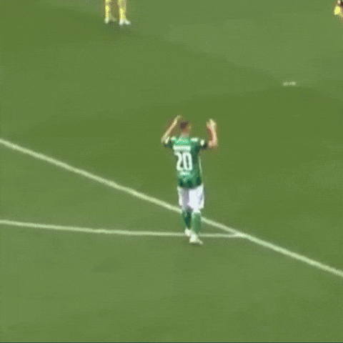Werder Bremen GIF