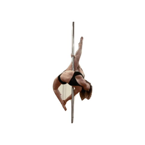 Swing360 Sticker