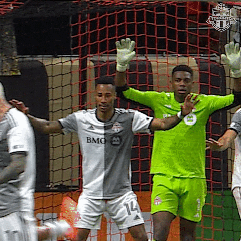 Major League Soccer Football GIF by Toronto FC