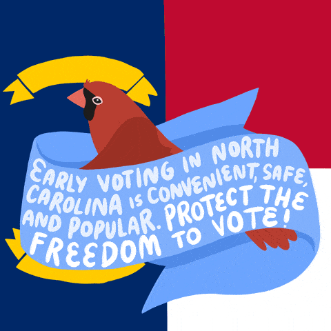 North Carolina Vote