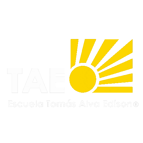 Escuela Tomás Alva Edison Sticker