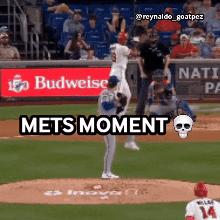 New York Mets Baseball GIF