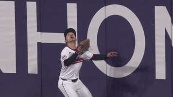 Sport Baseball GIF by MLB