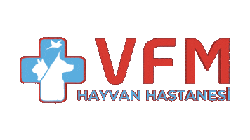 Sticker by vfmhayvanhastanesitr