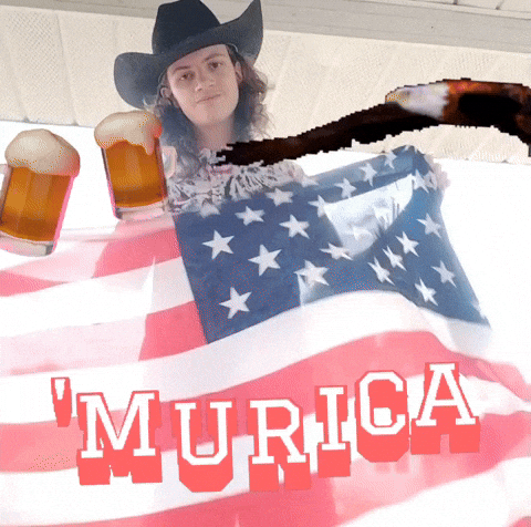 American Usa GIF