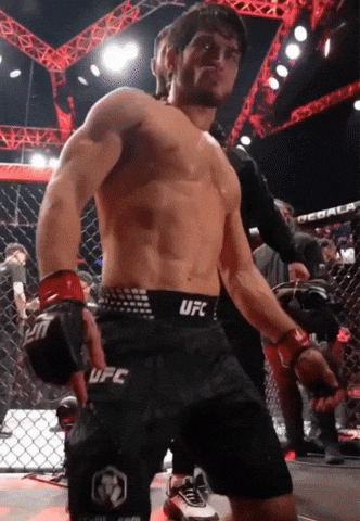 London Ufc GIF