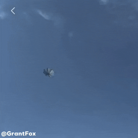 Wind Umbrella GIF