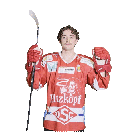 Hockey Sticker by dsc-eishockey