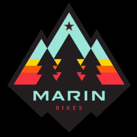 marin meaning, definitions, synonyms