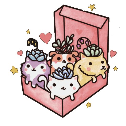 Happy Birthday Love Sticker by Barbaramtbbq