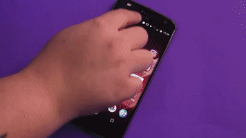 indignokid  GIF