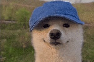 Dog Baby GIF