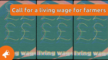 Protest Living Wage GIF by Freedom United