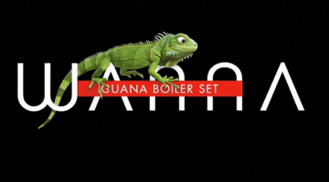 Dj Wanna GIF by Iguana Terraza