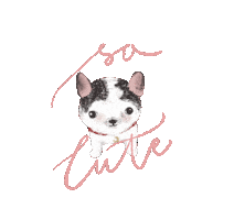 Dog Chihuahua Sticker