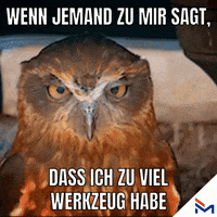 Meme Reaction GIF by Franz Moser GmbH