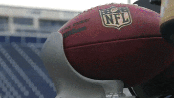 football nfl GIF by Bose
