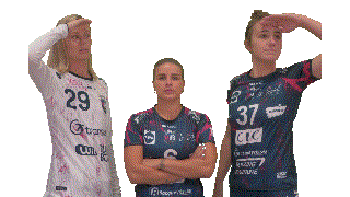 Celebration Handball Sticker by mhb33