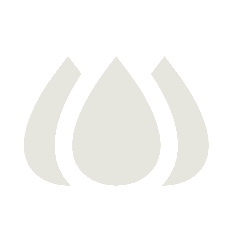 Lacevo Sticker
