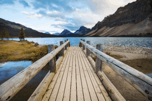 Northern Pwr GIF