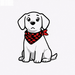 Awkward Dog GIF by FlannelGo