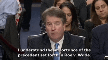 Supreme Court Abortion GIF by GIPHY News