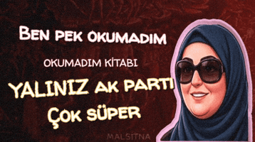 Akp Akparti GIF