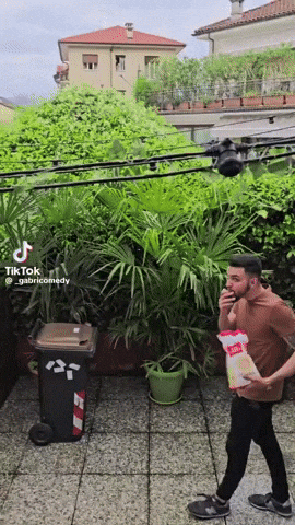 Dance GIF