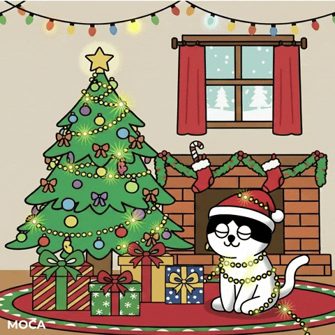 Merry Christmas Cat GIF by Moca Network