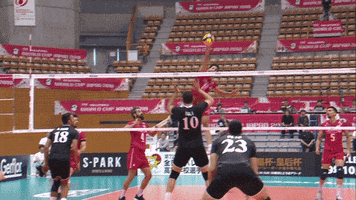 Rejected No Way GIF by Volleyball World